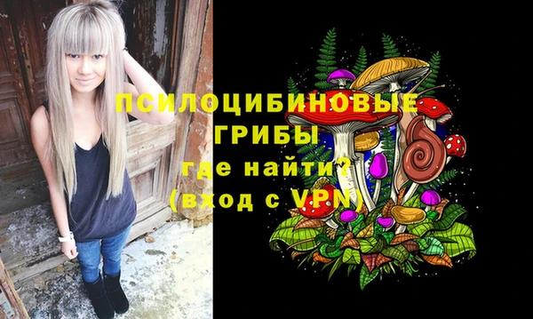 твердый Богородицк