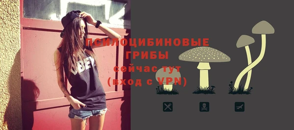 твердый Богородицк